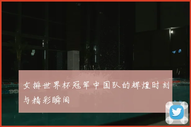 女排世界杯冠军中国队的辉煌时刻与精彩瞬间