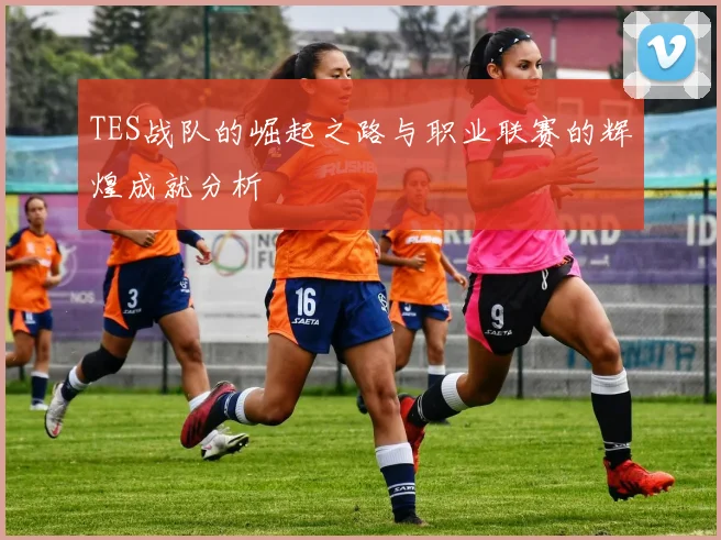 TES战队的崛起之路与职业联赛的辉煌成就分析