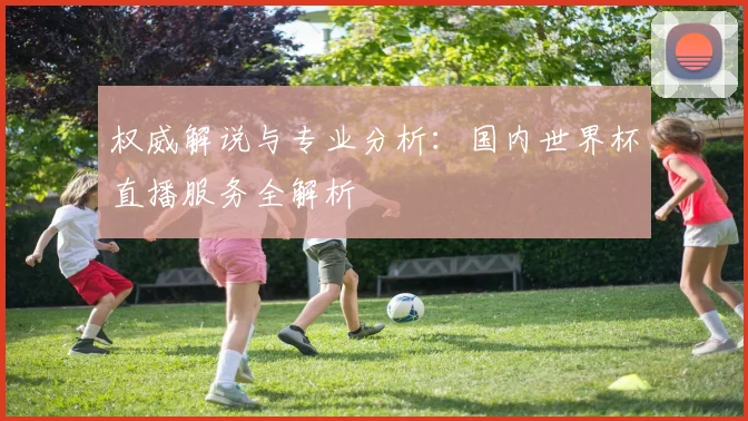 权威解说与专业分析:国内世界杯直播服务全解析