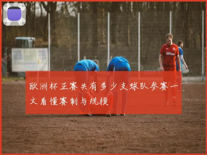 欧洲杯正赛共有多少支球队参赛一文看懂赛制与规模