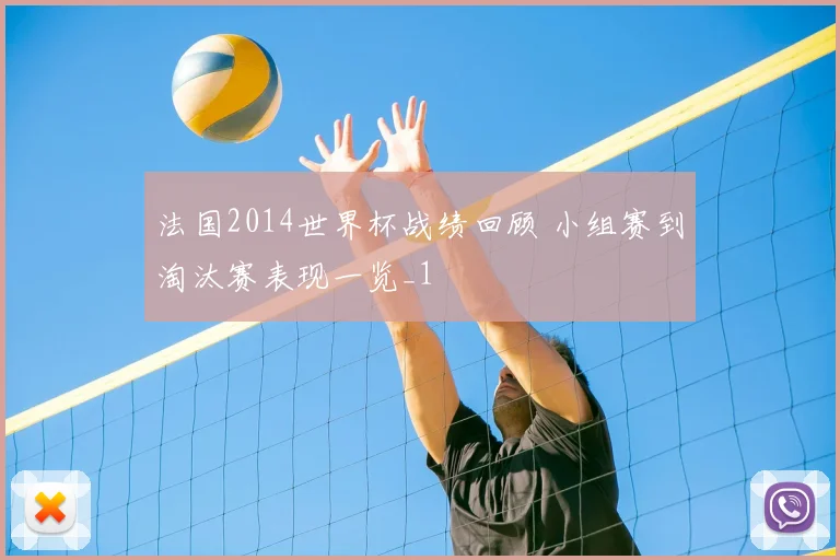 法国2014世界杯战绩回顾 小组赛到淘汰赛表现一览_1