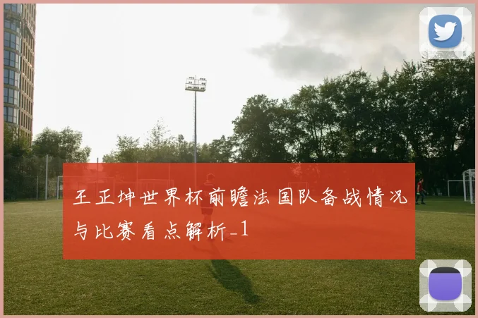 王正坤世界杯前瞻法国队备战情况与比赛看点解析_1