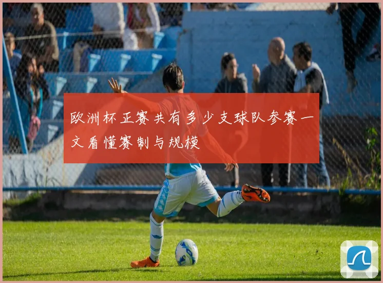 欧洲杯正赛共有多少支球队参赛一文看懂赛制与规模