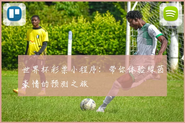 世界杯彩票小程序:带你体验绿茵豪情的预测之旅