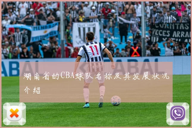 湖南省的CBA球队名称及其发展状况介绍