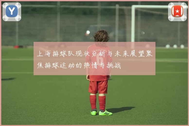 上海排球队现状分析与未来展望聚焦排球运动的热情与挑战