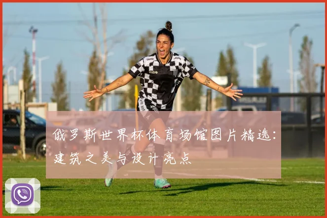 俄罗斯世界杯体育场馆图片精选:建筑之美与设计亮点