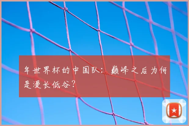 年世界杯的中国队:巅峰之后为何是漫长低谷?