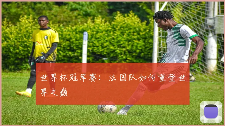 世界杯冠军赛:法国队如何重登世界之巅