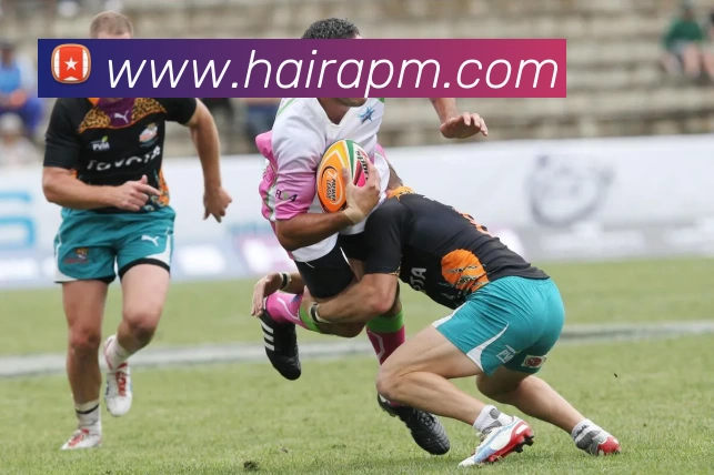 九游体育发展历程